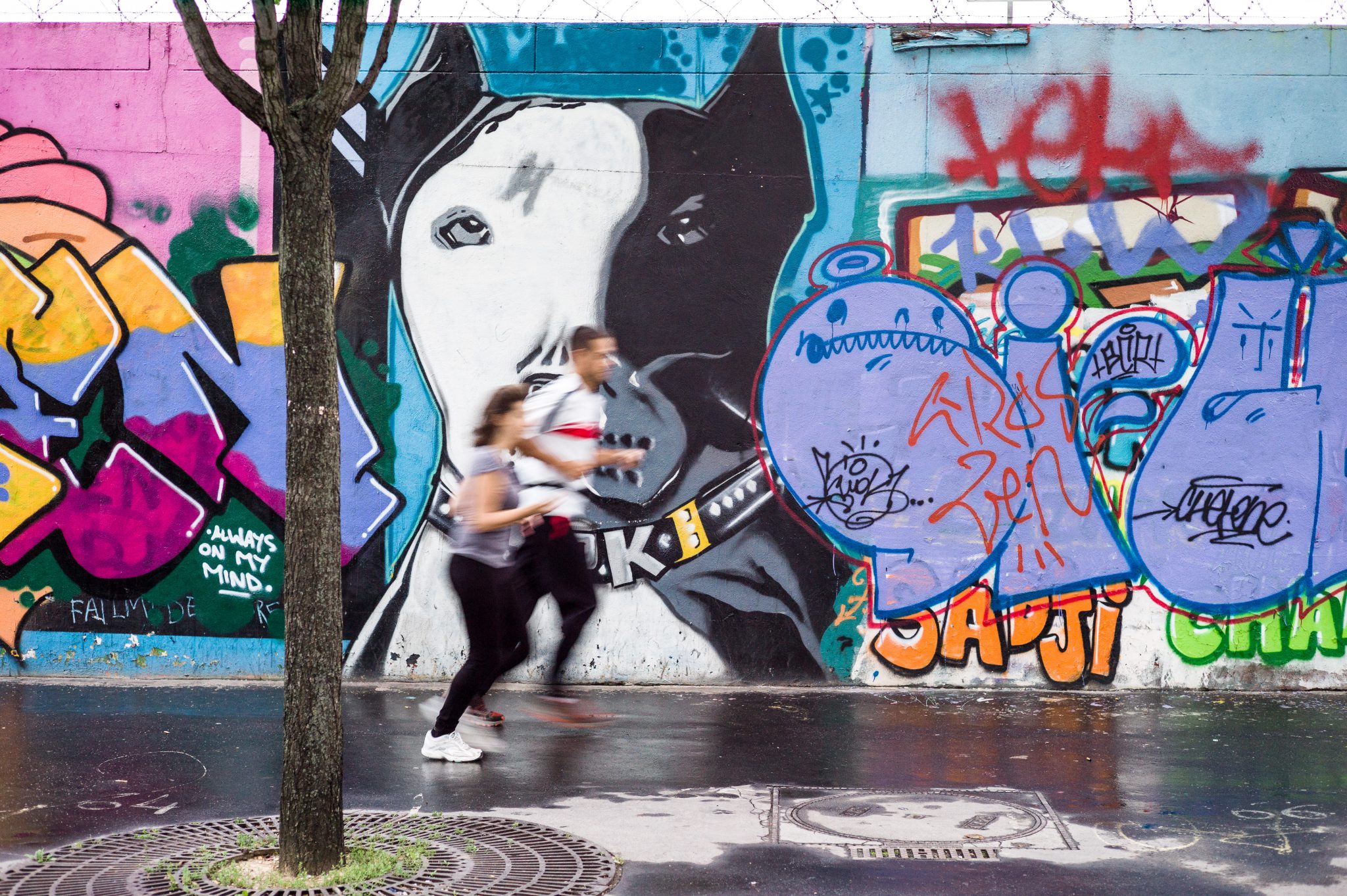Paris - Oh, winds which rush my tale to thee - rue Ordener 12 septembre 2013